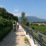 E-Bike Tour and Wine Tasting from Bardolino - The Highlight: Wine Tasting at a Local Cellar