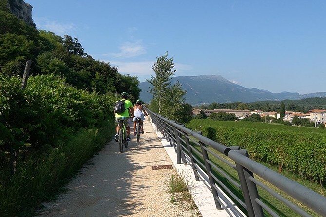 E-Bike Tour and Wine Tasting from Bardolino - The Highlight: Wine Tasting at a Local Cellar