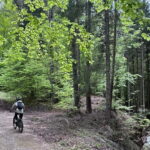 E-BIKE TOUR & Flavours at Fausior Mount - Why This Tour Is a Great Value