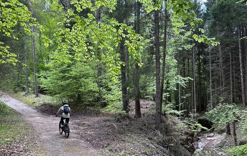 E-BIKE TOUR & Flavours at Fausior Mount - Why This Tour Is a Great Value