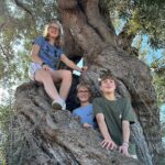 E-bike tour in Ostuni. Oil mill, Dolmen and huge olive trees - Detailed Breakdown of the Itinerary