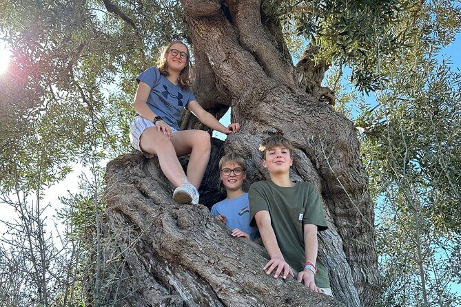 E-bike tour in Ostuni. Oil mill, Dolmen and huge olive trees - Detailed Breakdown of the Itinerary