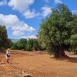 e-bike tour in the plain of the secular olive trees of Ostuni - Who Will Enjoy This Tour?