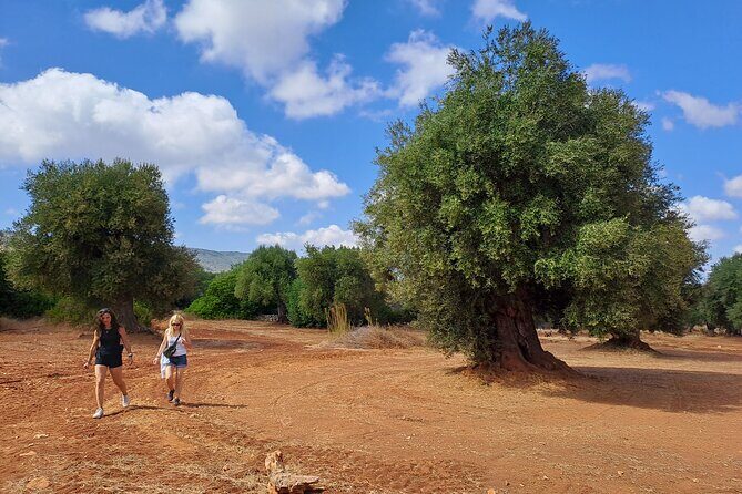 e-bike tour in the plain of the secular olive trees of Ostuni - Who Will Enjoy This Tour?