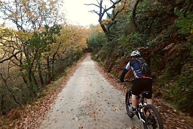 E-bike Tour: Peneda Geres National Park - Serra Amarela - Who Is This Tour Best For?