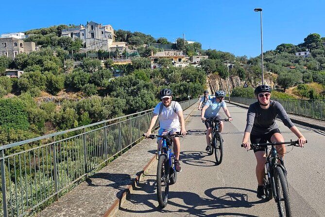 E-Bike Tour with Craft Beer Tasting in Sorrento - Who Will Love This Tour?