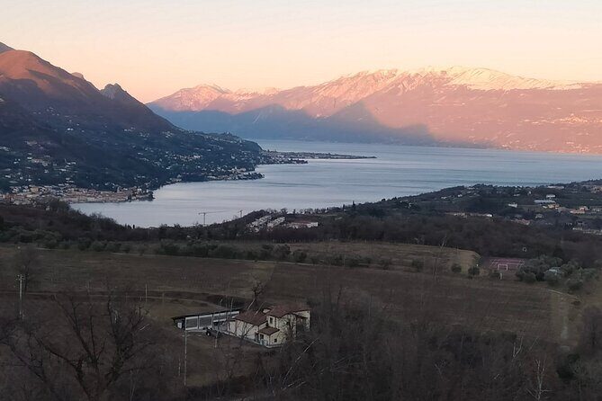 E-Bike Tour with Wine Tasting from Salò - In-Depth Breakdown of the Tour