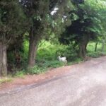 e-MTB Tour - Analipsis Area [42Km - 26Mi] - Why Is This Tour a Good Value?