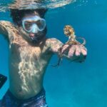 E-Scooter Tour At Turtle Town With Optional Photo and Video - A Deep Dive into the Maui E-Scooter Snorkeling Adventure