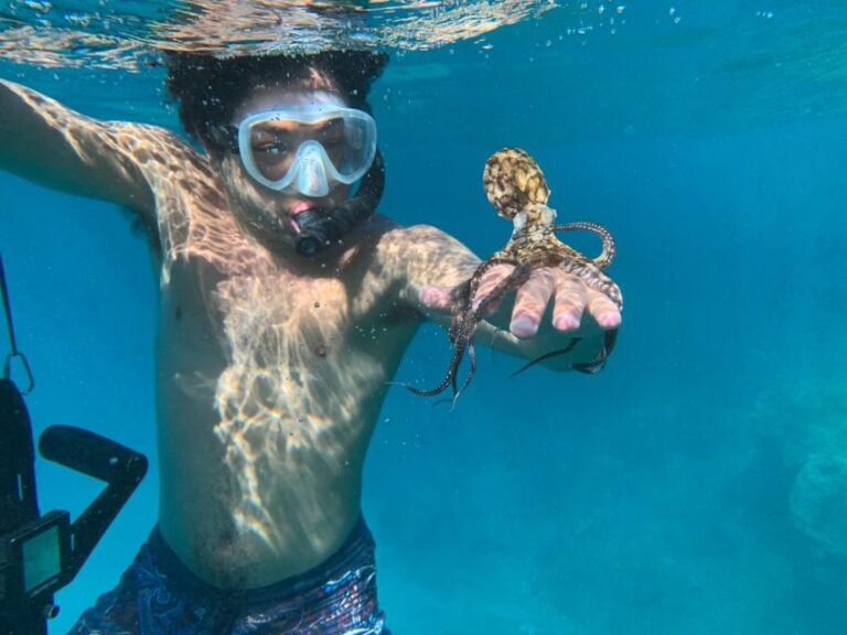 E-Scooter Tour At Turtle Town With Optional Photo and Video - A Deep Dive into the Maui E-Scooter Snorkeling Adventure