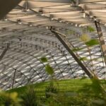E-ticket to Berlin Botanical Garden with Audio Tour - Final Thoughts