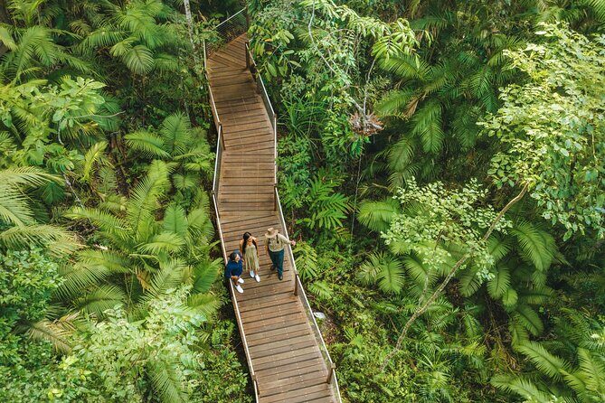 East Coast Australia 16 Day Comfort Tour from Sydney to Daintree - What Travelers Say