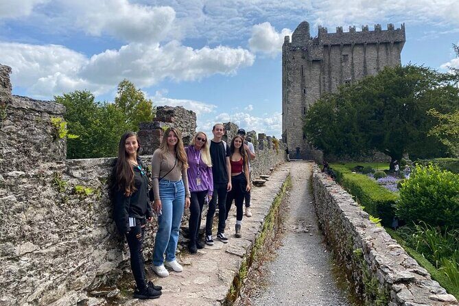 Easy Access Blarney Stone and Castle Gardens Tour - Who will love this tour?