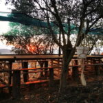 Eat in the vineyards like a Duriense - FAQ
