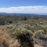 eBike Noosa Sightseeing Tour - New! - The Experience: What You Can Expect