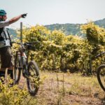 eBike Rental in Montefiascone/Lake Bolsena - The Sum Up