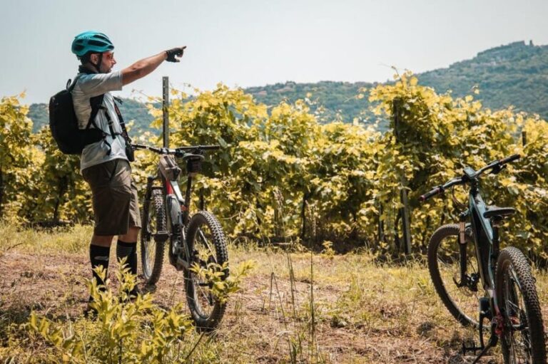 eBike Rental in Montefiascone/Lake Bolsena - The Sum Up