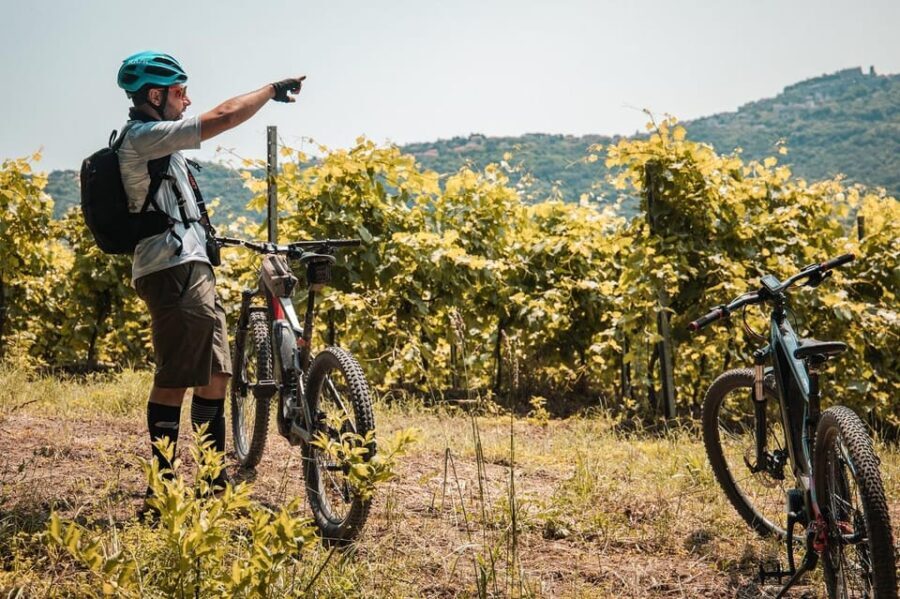 eBike Rental in Montefiascone/Lake Bolsena - The Sum Up