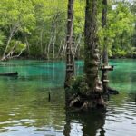 ECO adventure to Cypress Springs by Paddle Board or Kayak - A Deep Dive into the Cypress Springs Eco Adventure
