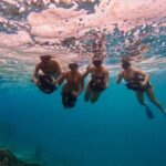 Eco Friendly Sea Scooter Turtle Tour in Rarotonga - In-Depth Perspective and Practical Insights