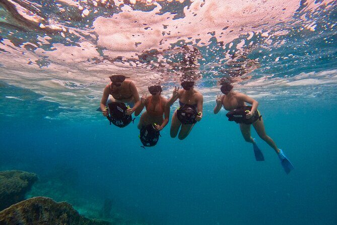 Eco Friendly Sea Scooter Turtle Tour in Rarotonga - In-Depth Perspective and Practical Insights