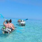 Eco Kayak Excursion in Moorea Lagoon for a Day - Frequently Asked Questions