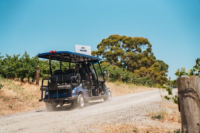 EcoVine Explorer Vineyard E-Cart Tours - The Sum Up: Who is this tour best suited for?