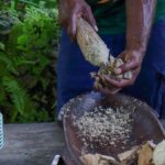 Eden's Kava Experience - The Sum Up