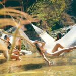 Edenva Ecotourist Park in Puerto Vallarta - What the Reviews Say