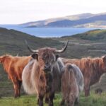 Edinburgh: 2-Day Loch Ness, Glencoe & Highlands Tour - The Sum Up: Is It Worth It?