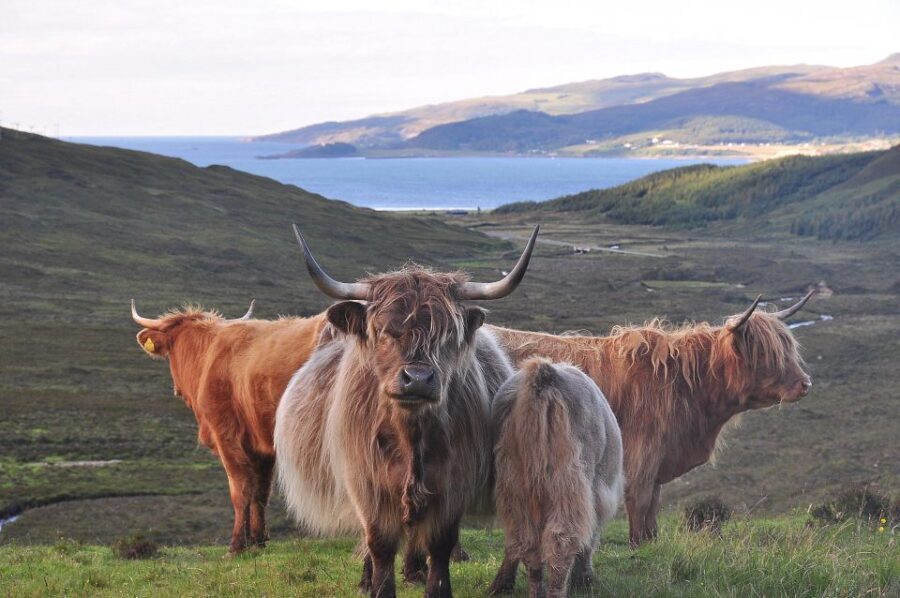 Edinburgh: 2-Day Loch Ness, Glencoe & Highlands Tour - The Sum Up: Is It Worth It?