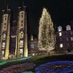 Edinburgh: Christmas Walking Tour with Gingerbread Treat - What to Expect: Practical Details
