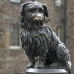 Edinburgh: Discover Edinburgh's Old Town Walking Tour - Exploring the Itinerary: What You Can Expect