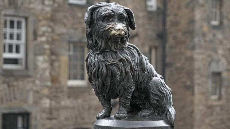 Edinburgh: Discover Edinburgh's Old Town Walking Tour - Exploring the Itinerary: What You Can Expect