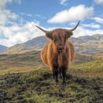 Edinburgh: Eilean Donan, Loch Ness & Glenfinnan - 2 Day Tour - Why This Tour Is a Great Choice