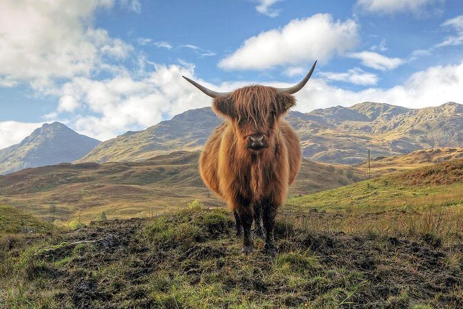 Edinburgh: Eilean Donan, Loch Ness & Glenfinnan - 2 Day Tour - Why This Tour Is a Great Choice