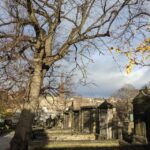 Edinburgh Express: walking tour in French - A Deep Dive into the Edinburgh Express Tour