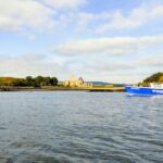 Edinburgh: 'Firth of Forth' Three Bridges Sightseeing Cruise - Authentic Feedback from Travelers