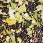 Edinburgh: Guided Gin Tasting at 56 North Distillery - An In-Depth Look at Edinburgh’s Premier Gin Tasting Experience