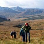 Edinburgh: Highland Cow Hike - Practical Tips for Your Highland Cow Hike