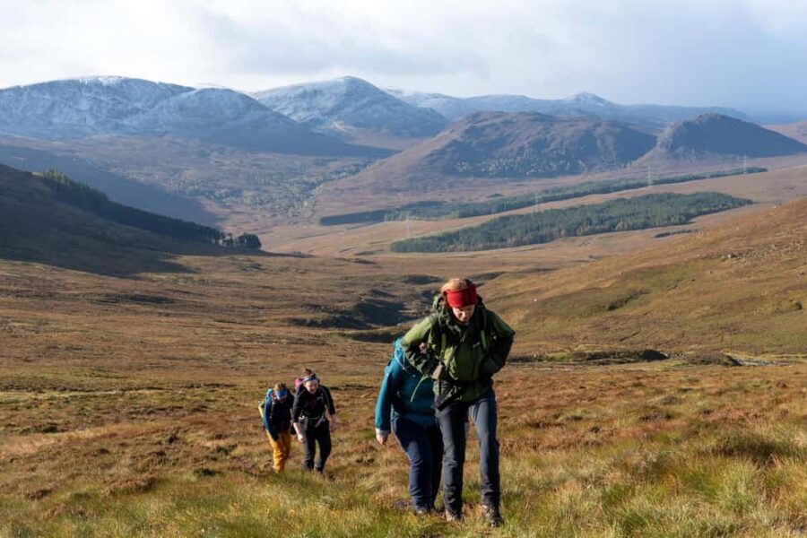 Edinburgh: Highland Cow Hike - Practical Tips for Your Highland Cow Hike