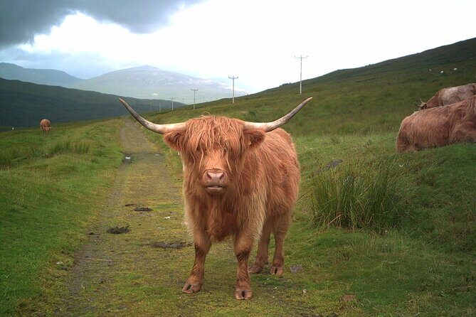 Edinburgh: Private Loch Ness Glencoe and The Highlands Tour - A Deep Dive into the Experience