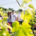 Educational Olive Oil Tasting - Key Points