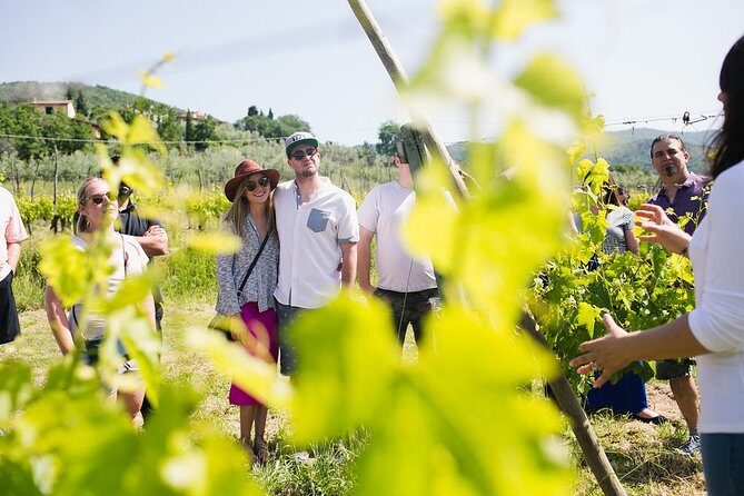 Educational Olive Oil Tasting - Key Points