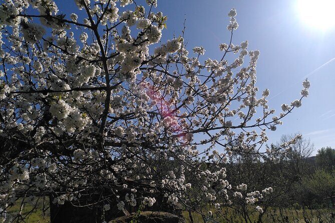 Educational visit of a Certified Organic Micro Farm in Trancoso - Who Should Consider This Tour?