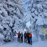 Ehrwald: Zugspitze Snowshoe Hiking Tour with Mountain Views - Why Choose This Tour?
