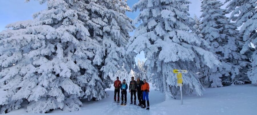 Ehrwald: Zugspitze Snowshoe Hiking Tour with Mountain Views - Why Choose This Tour?
