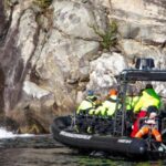 Eidfjord: 1-Hour Fjord RIB Tour - Exploring the Details of the Eidfjord Fjord RIB Experience