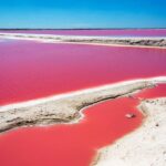 Ek Balam, Rio Lagartos and Las Coloradas Private Tour from Cancun - What Could Be Better