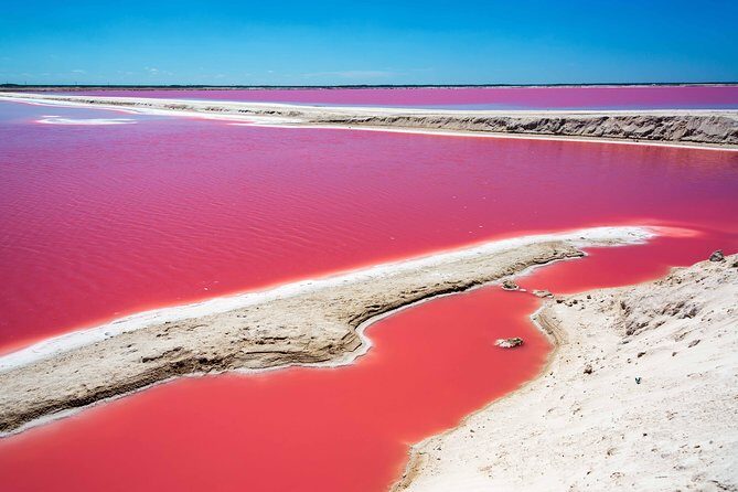 Ek Balam, Rio Lagartos and Las Coloradas Private Tour from Cancun - What Could Be Better